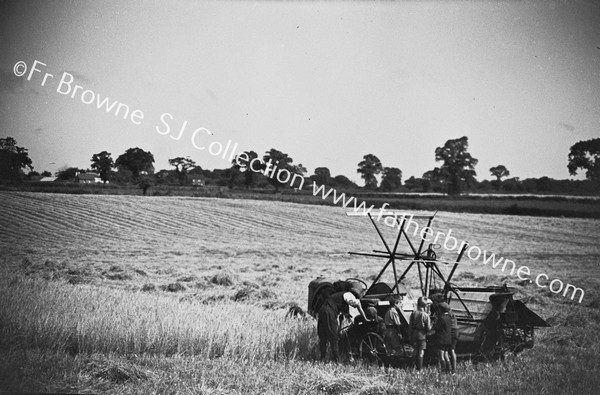 IN THE HARVEST FIELD CURIOSITY